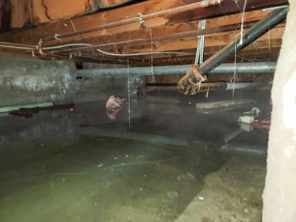 Water damage restoration experts in WI