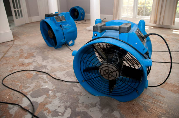 Best Professional water damage repair  in Lac Du Flambeau, WI